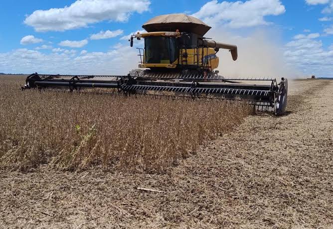 Produção agropecuária brasileira movimenta R$ 1,4 trilhão, apesar...
